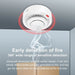 Tuya Wifi Smoke Alarm Fire Protection Detector for Home