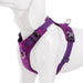 Ultra Light Adjustable Safety Pet Harness