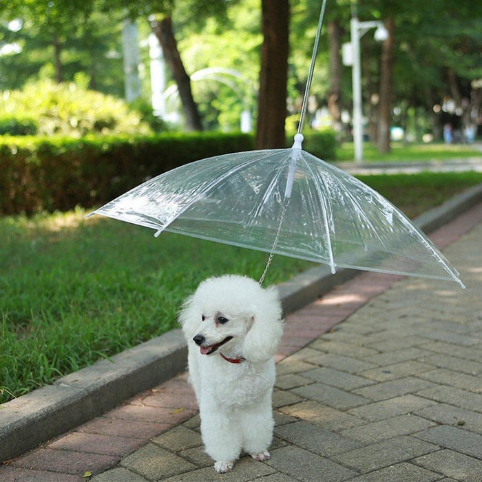 Pet Umbrella With Built-in Chain Leash