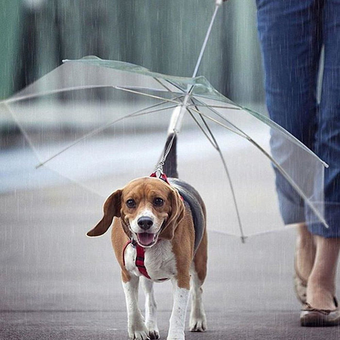 Pet Umbrella With Built-in Chain Leash