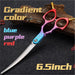 Vg10 Professional 6.0 6.5 Inch Pet Shears Curved Grooming