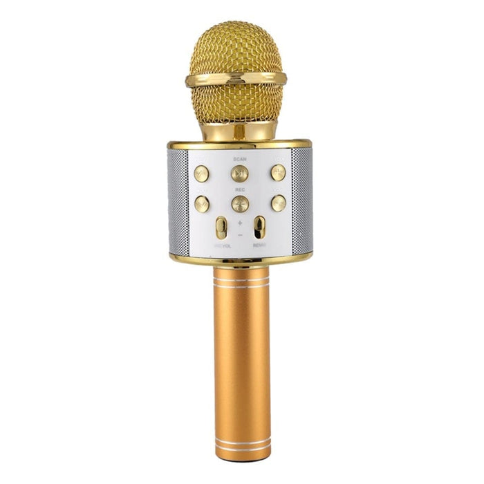 Vibe Geeks Portable Wireless Karaoke Microphone- Usb