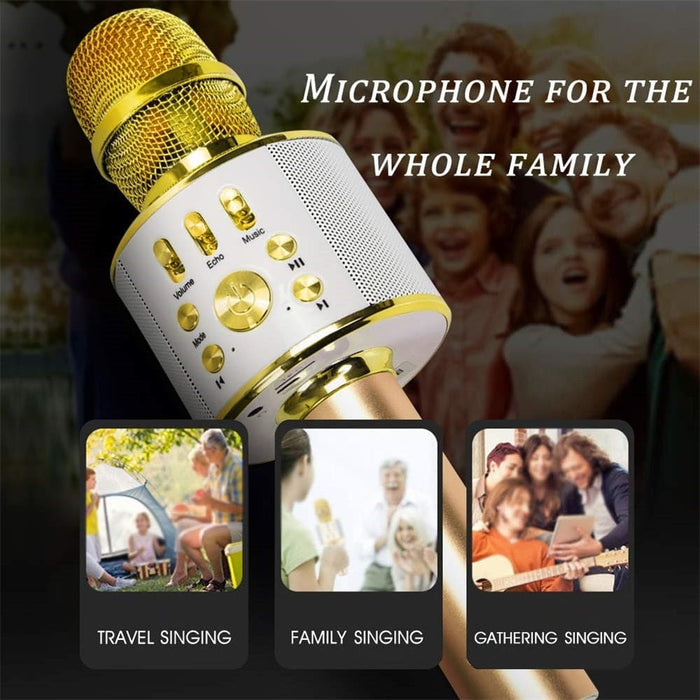 Vibe Geeks Portable Wireless Karaoke Microphone- Usb