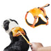 Vibe Geeks Ultimate 2-in-1 Reflective No-pull Dog Harness