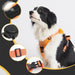 Vibe Geeks Ultimate 2-in-1 Reflective No-pull Dog Harness