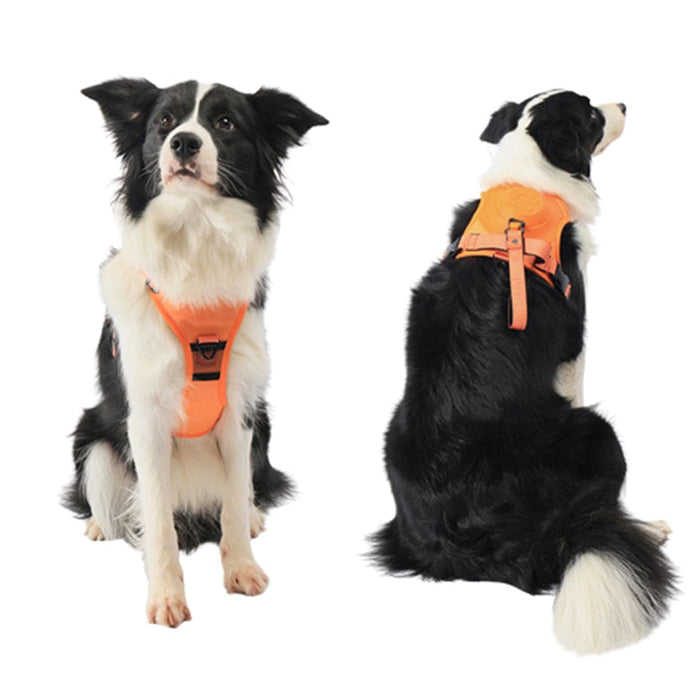 Vibe Geeks Ultimate 2-in-1 Reflective No-pull Dog Harness