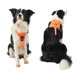 Vibe Geeks Ultimate 2-in-1 Reflective No-pull Dog Harness