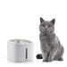 Pet Water Fountain Drinkatt Innovagoods