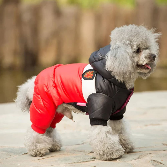 Winter Dog Jacket For French Bulldog And Chihuahua