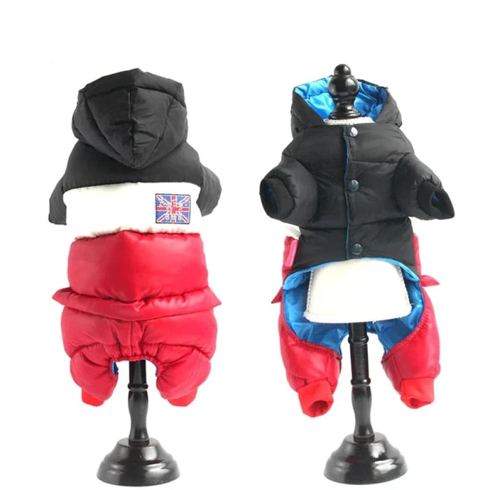 Winter Dog Jacket For French Bulldog And Chihuahua