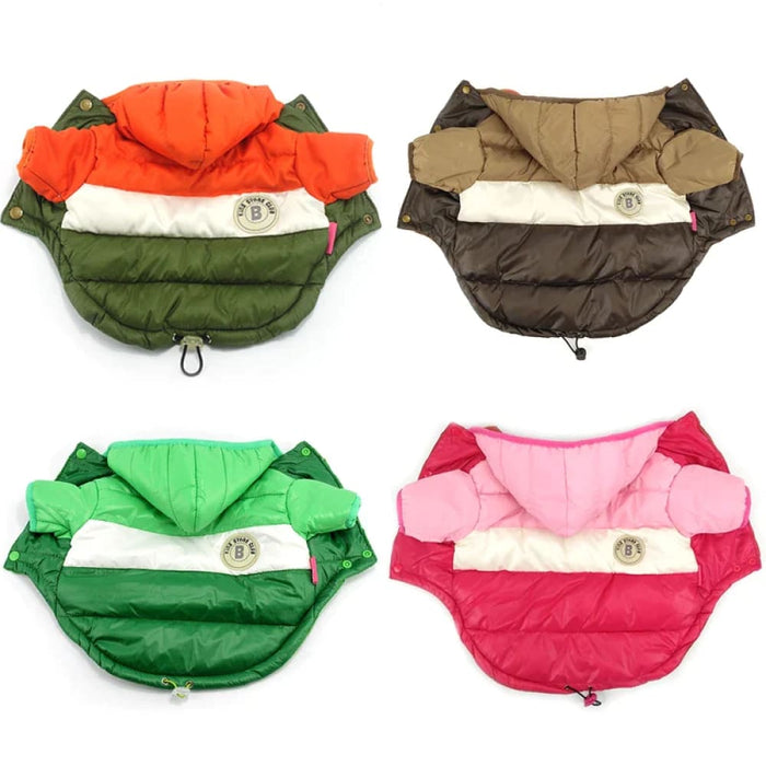 Winter Dog Jacket For Small Breeds