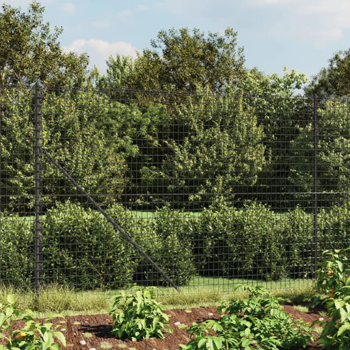 Wire Mesh Fence With Spike Anchors Anthracite 1.4x25 m