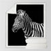 Zebra Throw Blanket 3d Printed Plush Bedspread Animal Soft