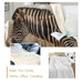 Zebra Throw Blanket 3d Printed Plush Bedspread Animal Soft