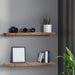 Goslash Picks 2 Pcs Floating Shelves Wall Mounted Storage