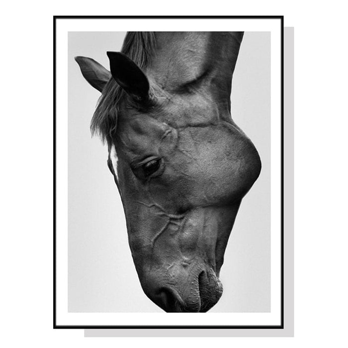 50cmx70cm Modern Black Horse Frame Canvas Wall Art