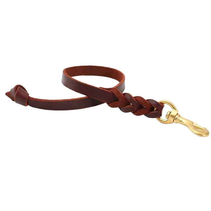 60cm Short Leash With p Shape Hook