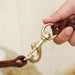 60cm Short Leash With p Shape Hook