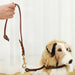 60cm Short Leash With p Shape Hook