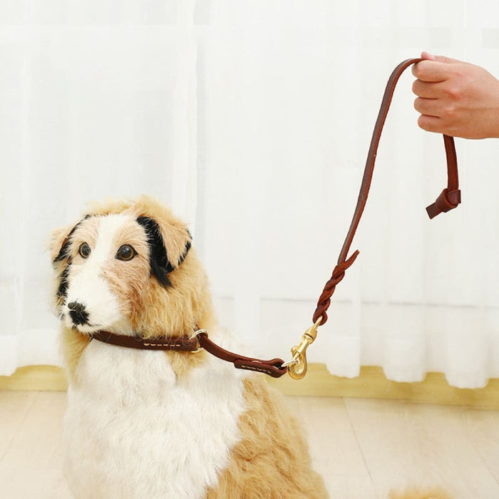 60cm Short Leash With p Shape Hook