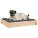 Dog Bed 61.5x49x9 Cm Solid Wood Pine Nxbnpo