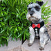 Adjustable Easy Control Breathable No Pull Bowtie Harness