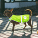 Adjustable Waterproof High Visibility Reflective Dog Vest