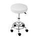 Artiss Round Chair Stools Salon Stool White Swivel Beauty