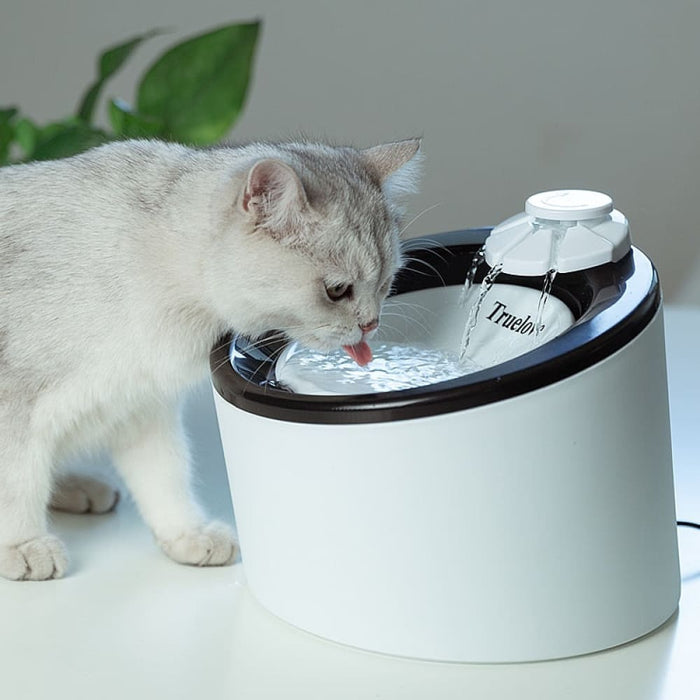 Automatic Electric Water Fountain For Pets