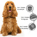 Usb Charging Low Noise Painless Pet Grooming Claw Trimmer