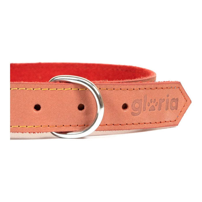 Dog Collar Gloria Oasis Red (1,5 x 40 Cm)