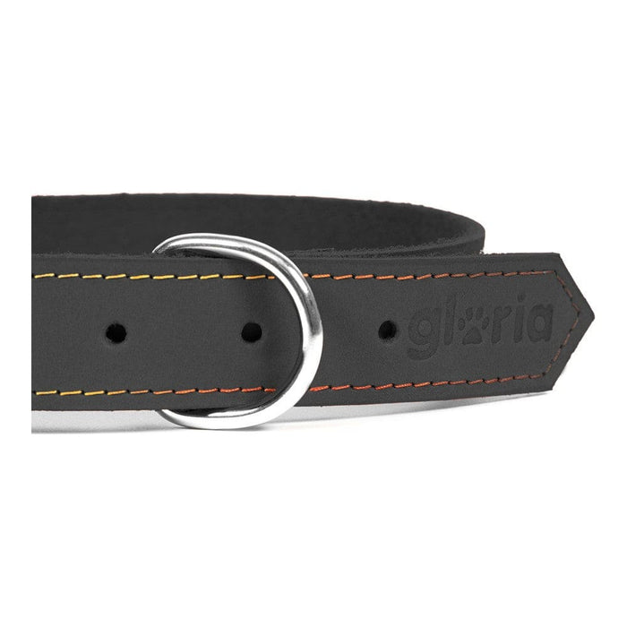 Dog Collar Gloria Oasis Black (50 x 2,1 Cm)