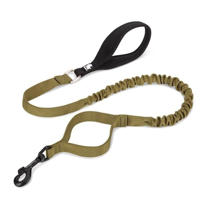 Cushioning Flexible Leash With Elastic Rope Control Large