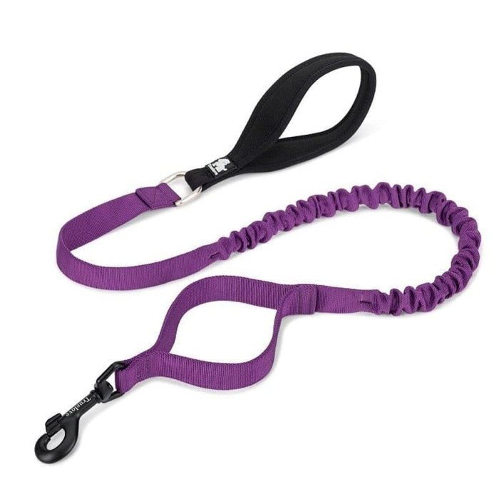 Cushioning Flexible Leash With Elastic Rope Control Large