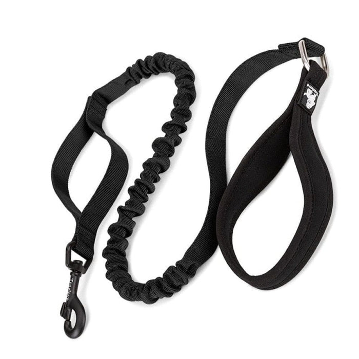 Cushioning Flexible Leash With Elastic Rope Control Large