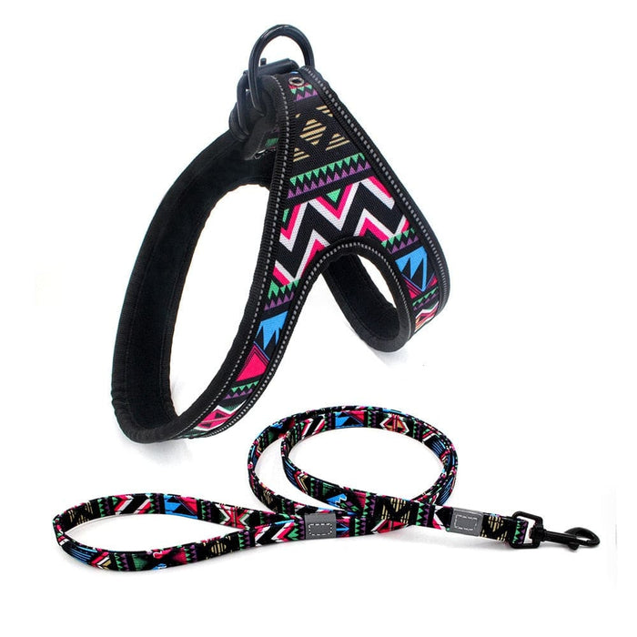 Durable Soft Padded Reflective Pet Harness Leash Set