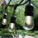 Edison Globe Solar Powered Lamp String Lights - White - 20