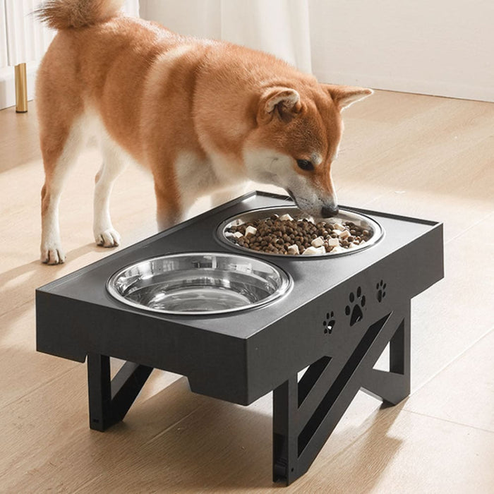 Goslash Picks Elevated Pet Feeder Food Water Double Bowl