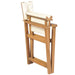 Folding Director’s Chair Solid Teak Wood Atnbo