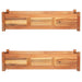 Garden Raised Beds 2 Pcs Acacia Wood 100x30x25 Cm Tbpipxx