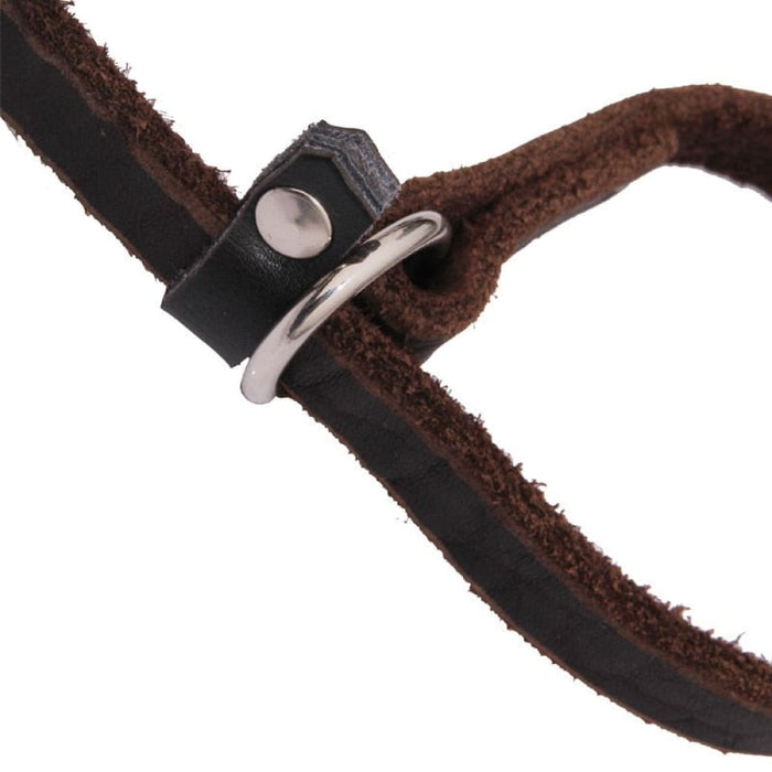 Genuine Leather p Chain Collar Leash