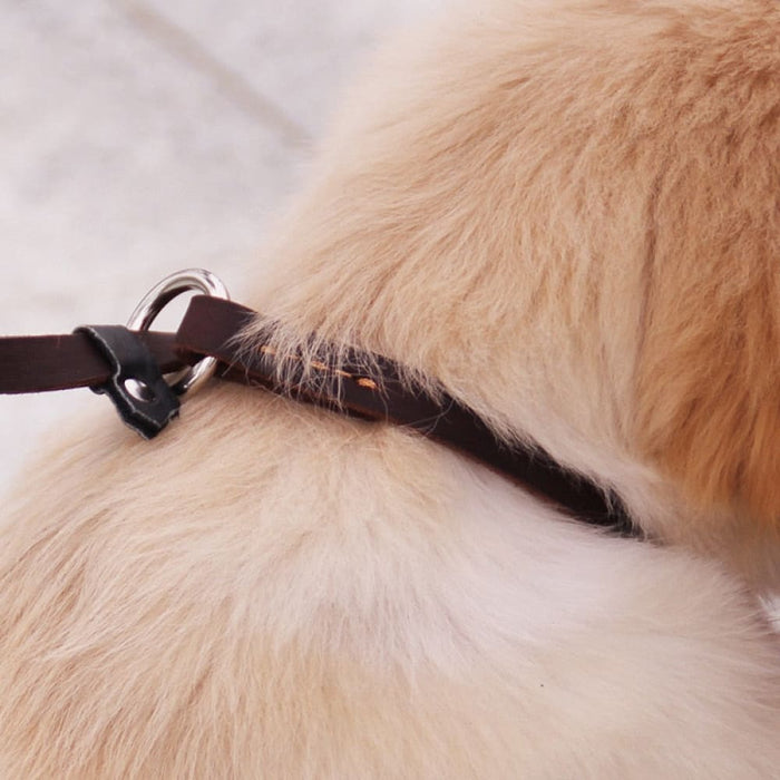 Genuine Leather p Chain Collar Leash