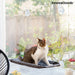 Hanging Cat Hammock Catlax Innovagoods