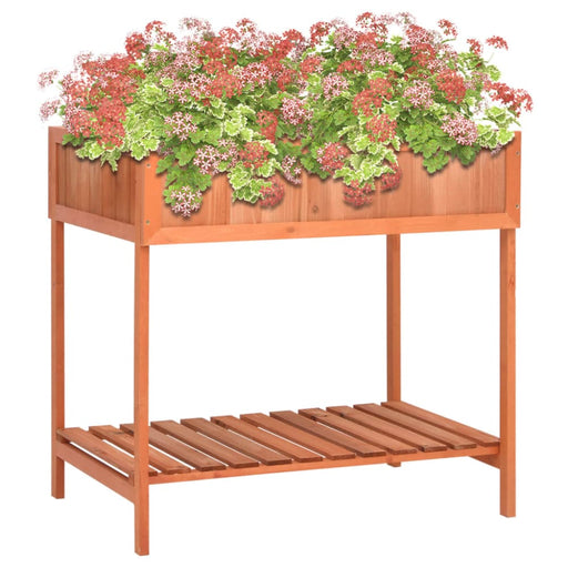 Herb Planter 80x60x80 Cm Solid Firwood Oibnnx