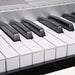 Karrera 61 Keys Electronic Keyboard Piano With Stand