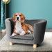 Luxury Elevated Sofa Anti-slip Raised Dog Cat Beds Couch