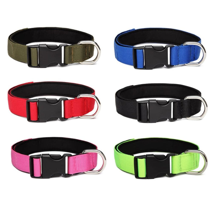 Nylon Comfortable Dog Collar With Metal o Ring