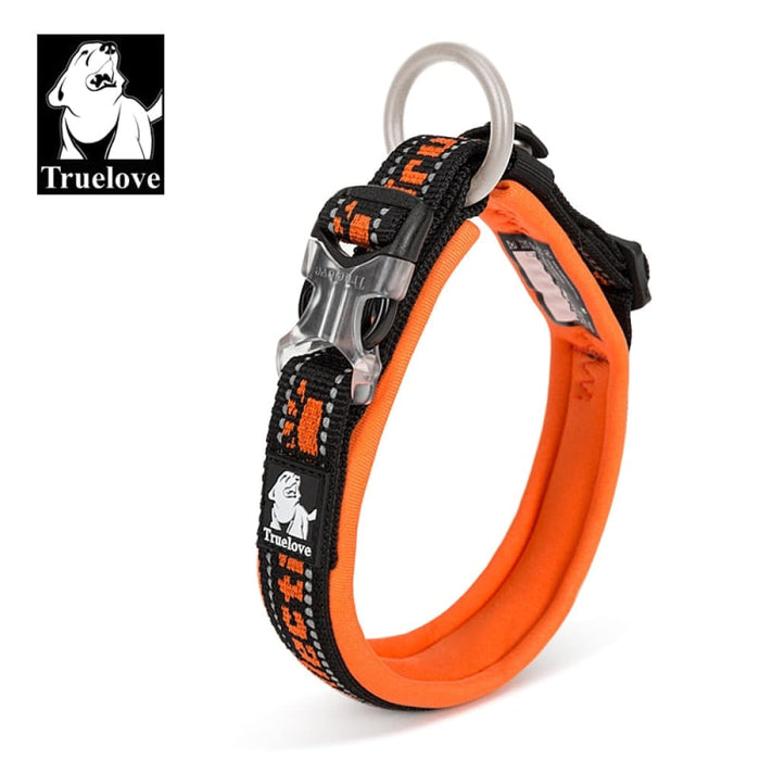 Nylon Reflective Collar With Duraflex Buckle