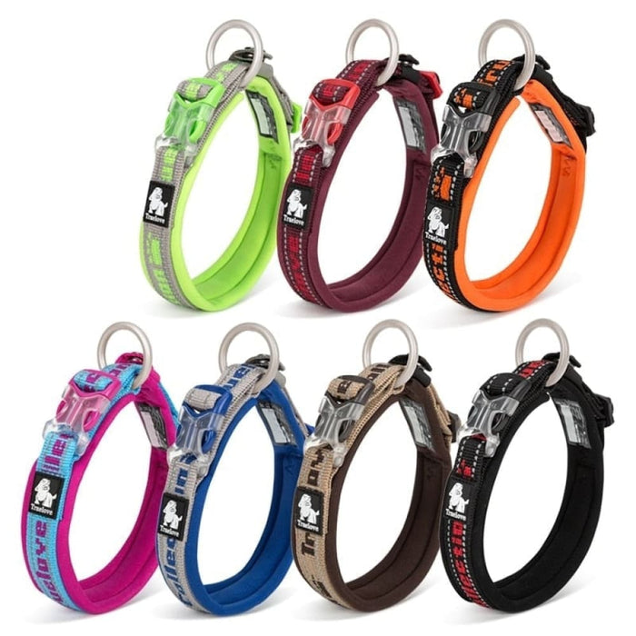 Nylon Reflective Collar With Duraflex Buckle