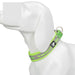 Nylon Reflective Collar With Duraflex Buckle